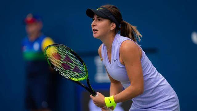 我们不会再 我们不会再