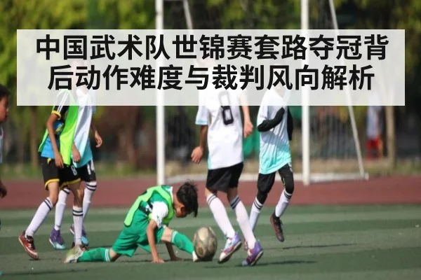 中国武术队世锦赛套路夺冠背后动作难度与裁判风向解析
